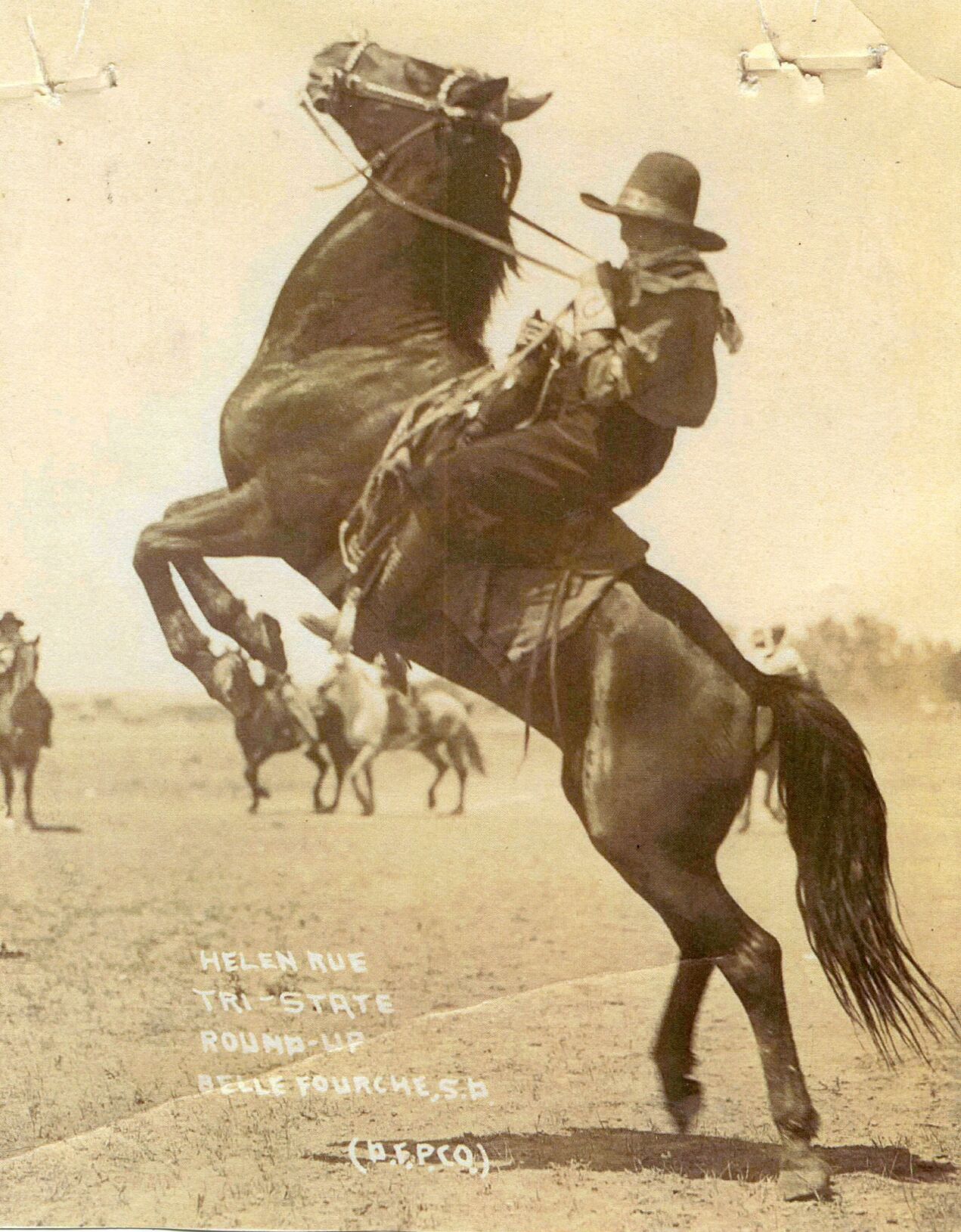 Womens bronc 2.jpg